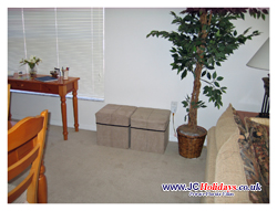 Ottomans for extra seating